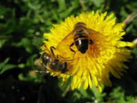 /album/fotogaleria/img-3696-jpg/