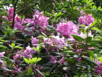 /album/fotogaleria/img-7213-jpg/