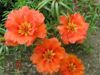 /album/fotogaleria/img-8100-jpg/