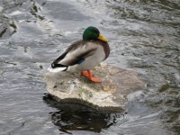 /album/fotogaleria/img-0218-jpg/