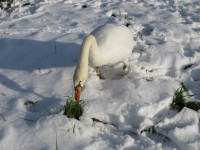 /album/fotogaleria/img-0313-jpg/