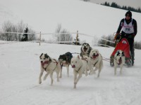 /album/fotogaleria/img-0767-jpg/