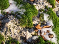 /album/fotogaleria/img-0447-jpg/